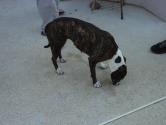 dsc04526.jpg 101.7 K