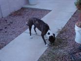 dsc04533.jpg 104.7 K