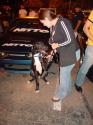 dsc04660.jpg 123.9 K