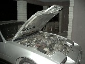 New Hood Shock